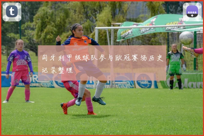 匈牙利甲级球队参与欧冠赛场历史记录整理