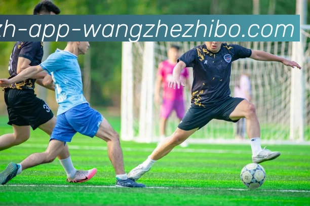 王者体育APP 封面图