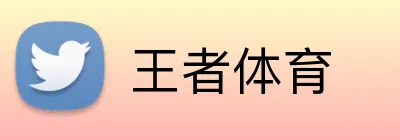 王者体育 logo